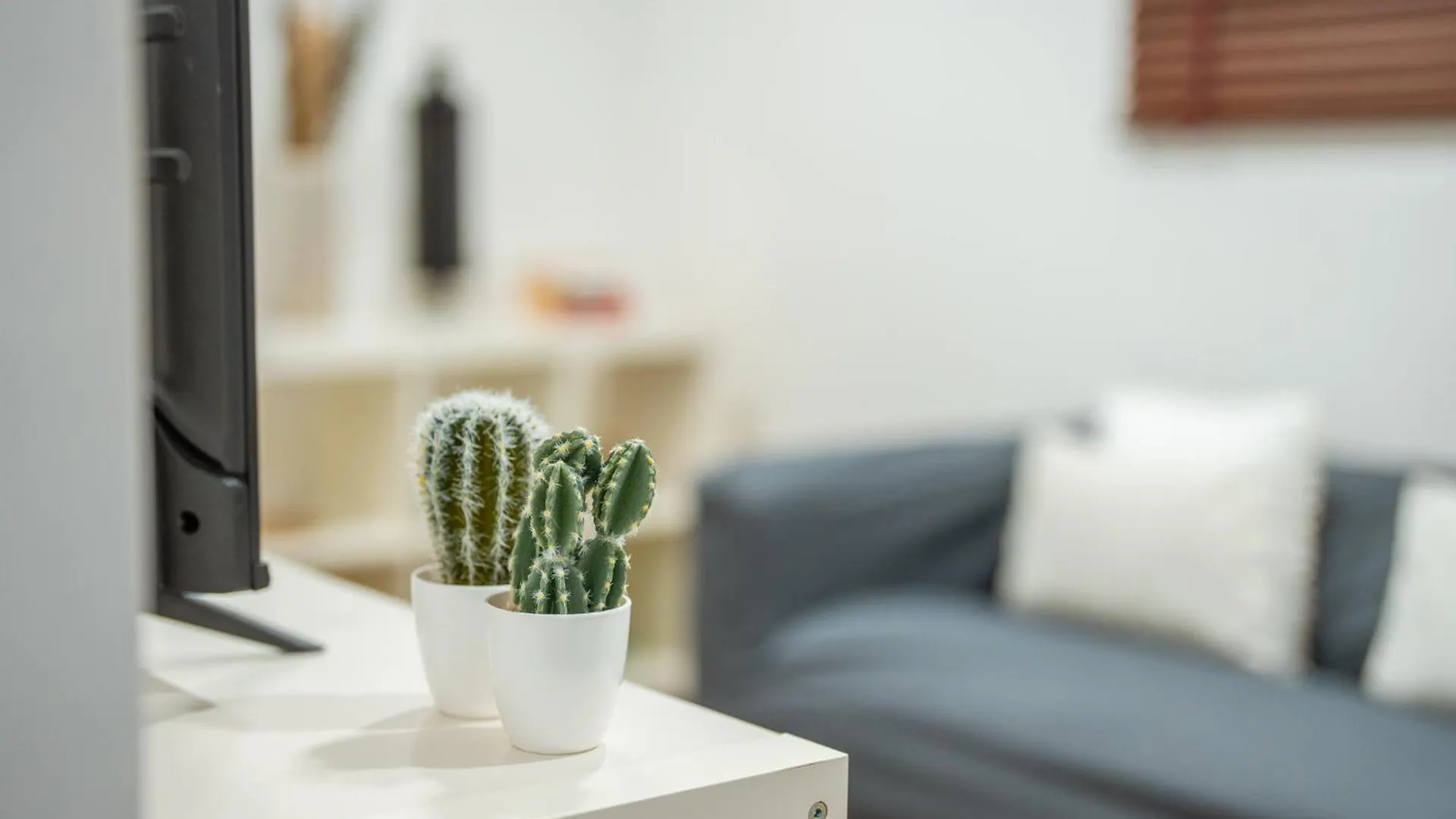 Pakisa - Three Bedroom Apartment Funchal